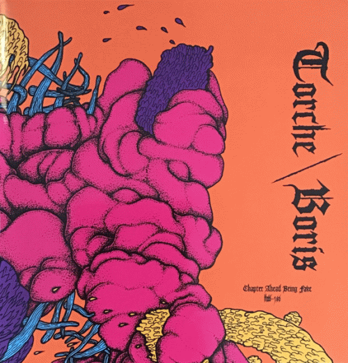 Torche : Chapter Ahead Being Fake